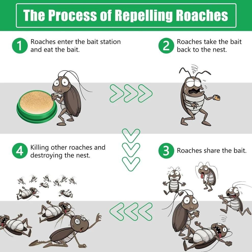 Cockroach repellent gel (24 Pieces per pack)