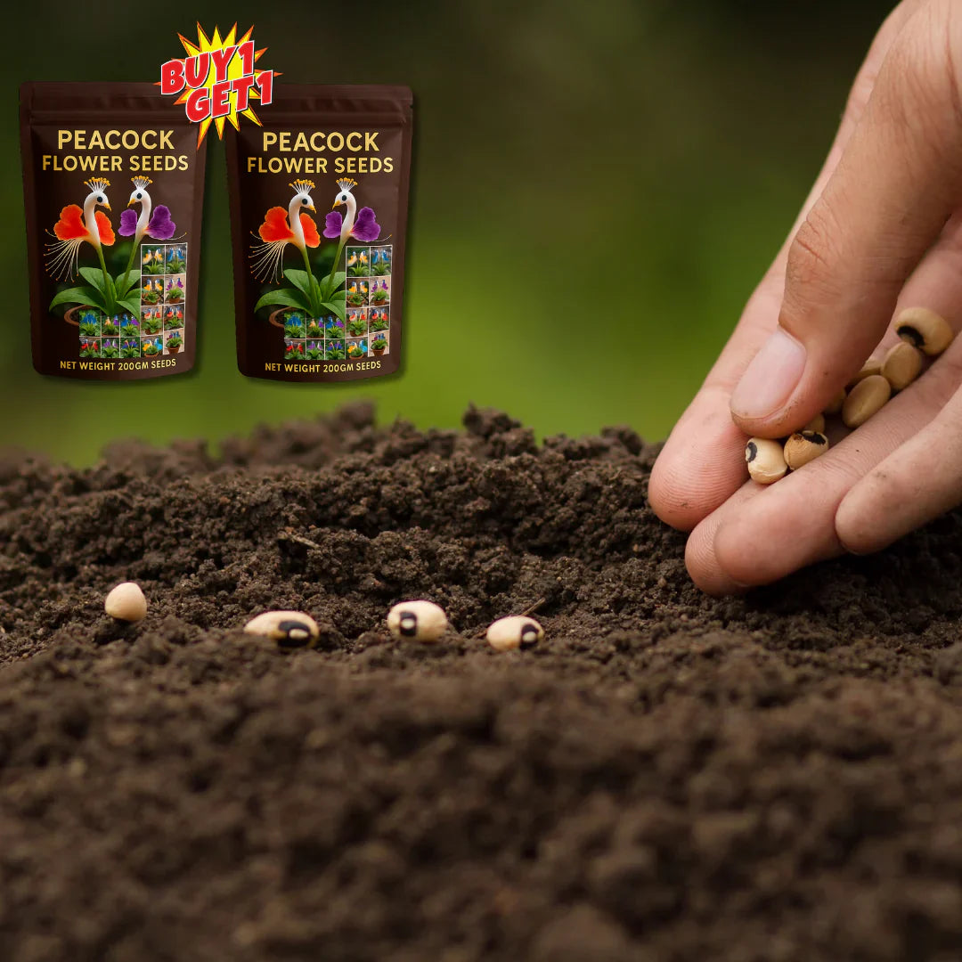 Peacock Flower Seeds™