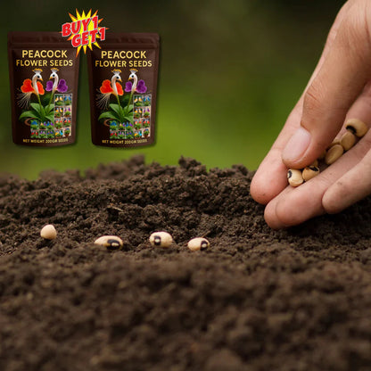 Peacock Flower Seeds™