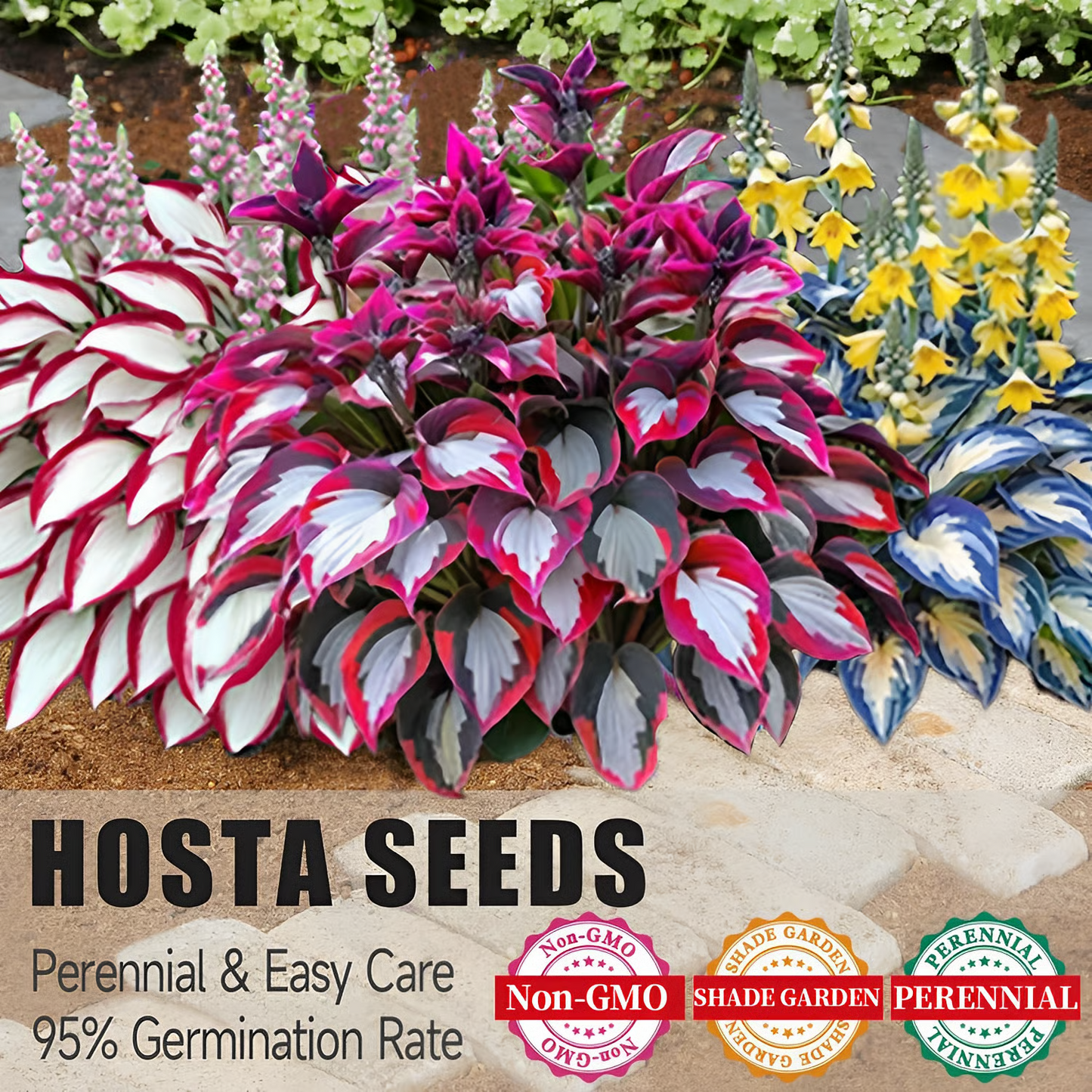 ShadeBloom™ – Premium Rare Hosta Seeds